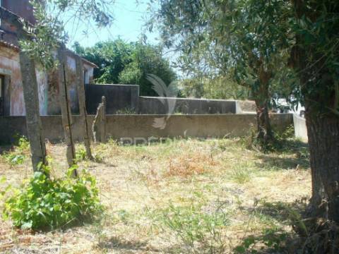 Excelente oportunidade terreno misto com ruina, constância