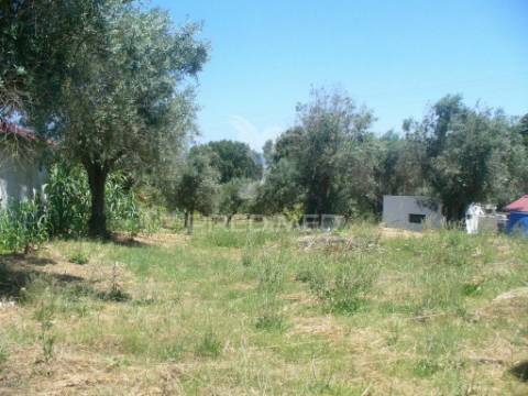 Excelente oportunidade terreno misto com ruina, constância