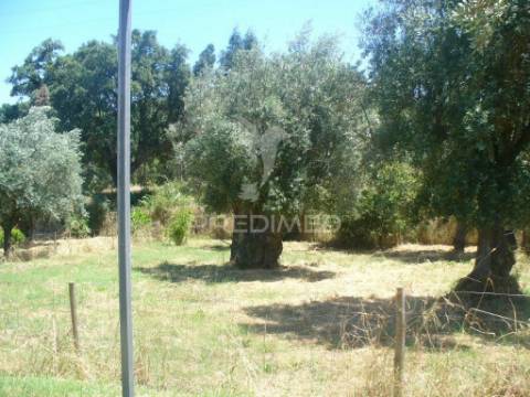 Excelente oportunidade terreno misto com ruina, constância