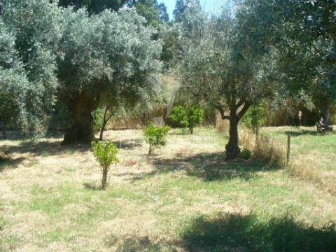 Excelente oportunidade terreno misto com ruina, constância