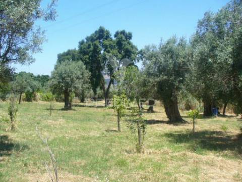 Excelente oportunidade terreno misto com ruina, constância