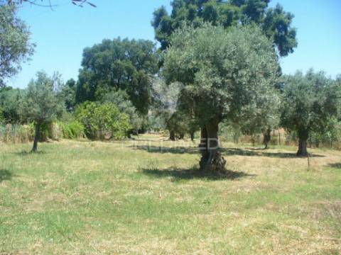 Excelente oportunidade terreno misto com ruina, constância