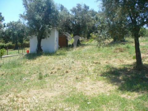 Excelente oportunidade terreno misto com ruina, constância