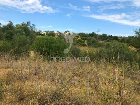 Terreno rustico caliços-olhão