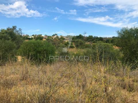 Terreno rustico caliços-olhão