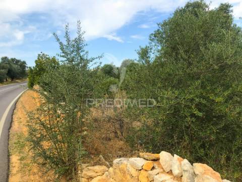 Terreno rustico caliços-olhão