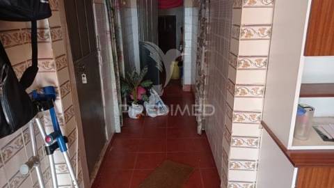 Casa típica do alentejo cunheira, alter do chão.