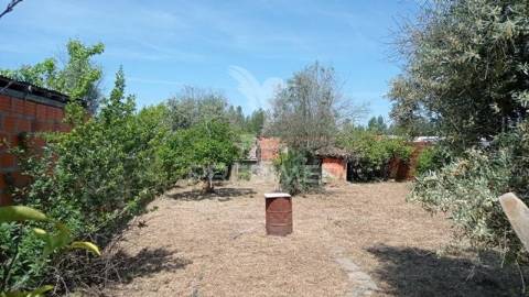 Casa típica do alentejo cunheira, alter do chão.