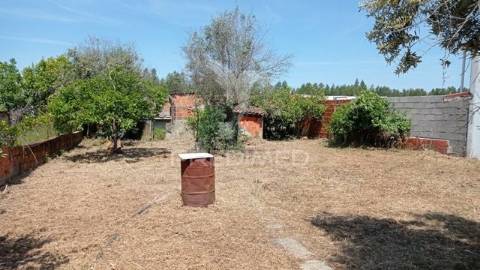 Casa típica do alentejo cunheira, alter do chão.