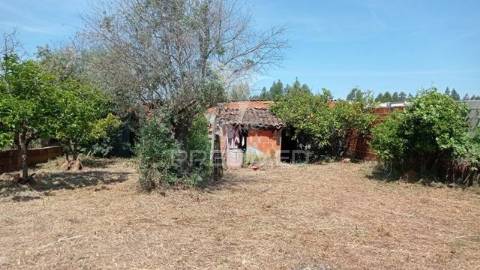 Casa típica do alentejo cunheira, alter do chão.