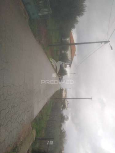 Terreno/olival com viabilidade de construção