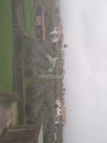 Terreno/olival com viabilidade de construção