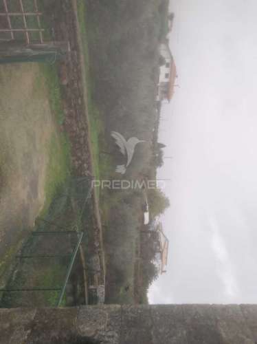 Terreno/olival com viabilidade de construção