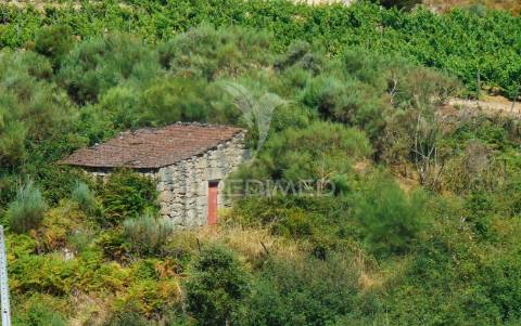 Terreno com 2 ha junto à e322 em alijó / vila real