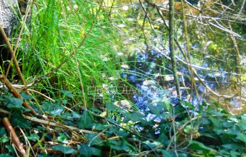 Terreno com 2 ha junto à e322 em alijó / vila real