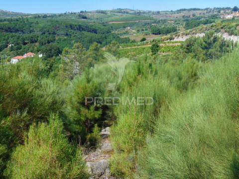 Terreno com 2 ha junto à e322 em alijó / vila real