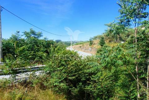 Terreno com 2 ha junto à e322 em alijó / vila real