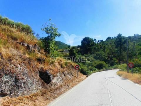 Terreno com 2 ha junto à e322 em alijó / vila real