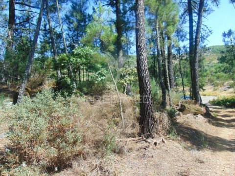 Terreno com 2 ha junto à e322 em alijó / vila real