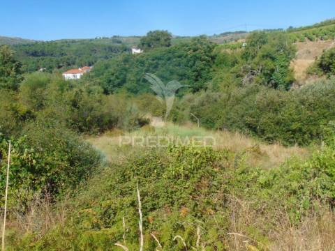 Terreno com 2 ha junto à e322 em alijó / vila real