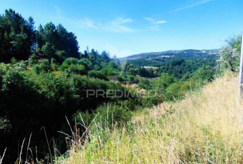 Terreno com 2 ha junto à e322 em alijó / vila real