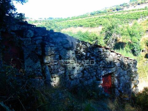Terreno com 2 ha junto à e322 em alijó / vila real