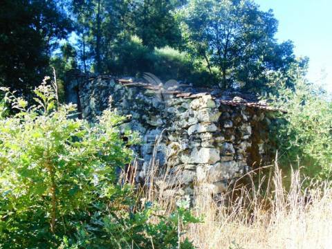 Terreno com 2 ha junto à e322 em alijó / vila real