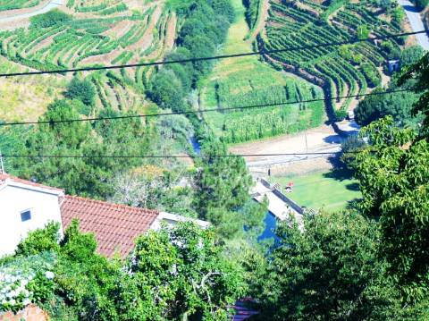 Conjunto de 3 casas em santa marta de penaguião