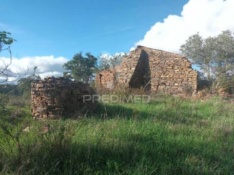 Ruina para recuperar