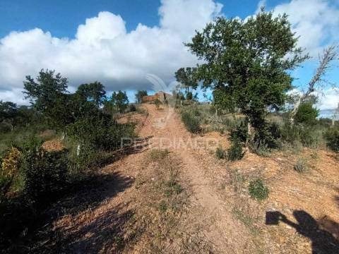 Ruina para recuperar