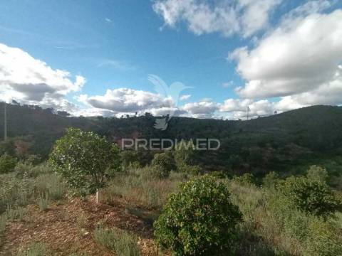 Ruina para recuperar