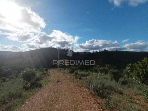 Ruina para recuperar