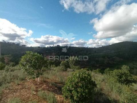 Ruina para recuperar