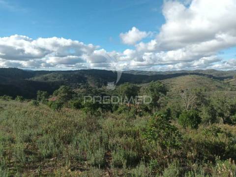 Ruina para recuperar