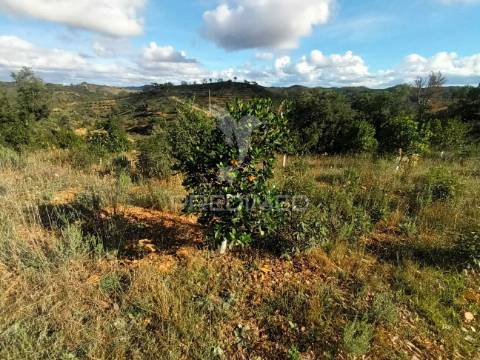 Ruina para recuperar