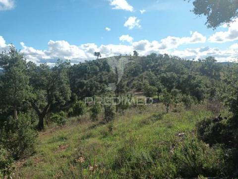 Ruina para recuperar