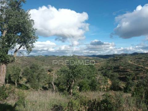 Ruina para recuperar