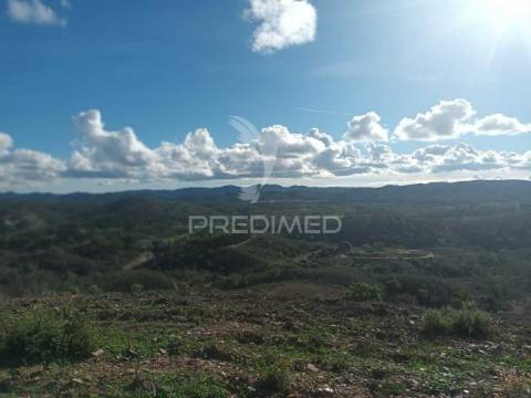 Ruina para recuperar