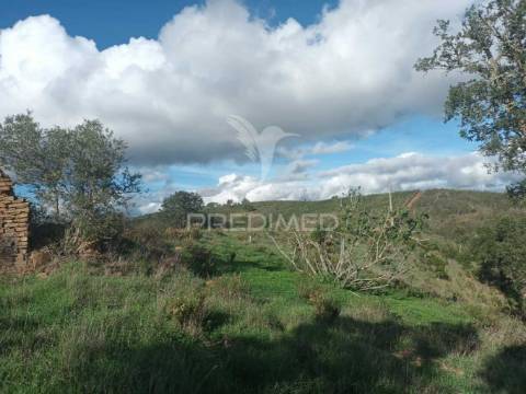 Ruina para recuperar