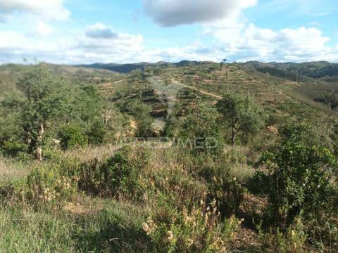 Ruina para recuperar