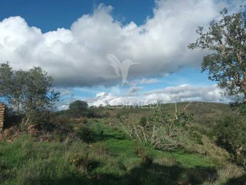 Ruina para recuperar