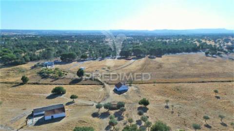 Terreno de 7ha, grândola, área de construção 229m2