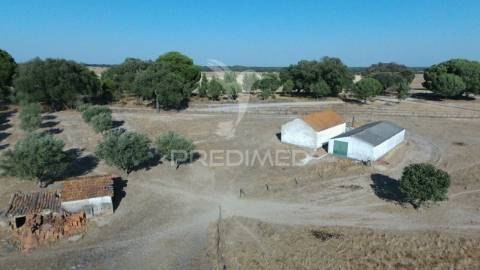 Terreno de 7ha, grândola, área de construção 229m2