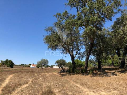 Terreno de 7ha, grândola, área de construção 229m2