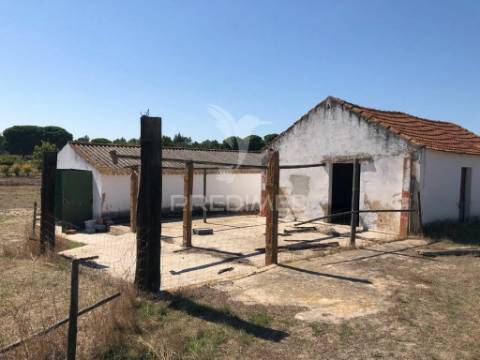 Terreno de 7ha, grândola, área de construção 229m2