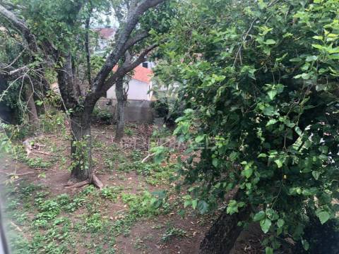 Oportunidade de negócio