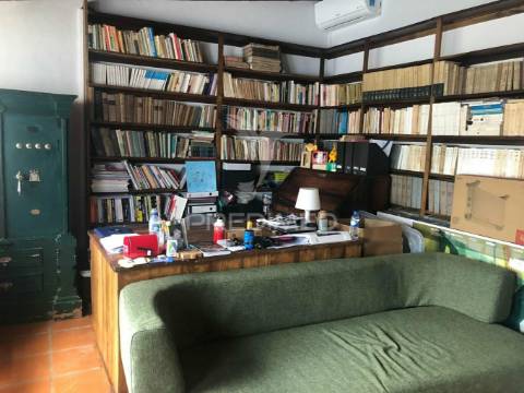 Oportunidade de negócio