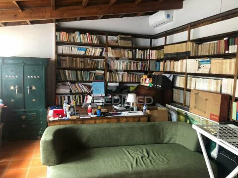 Oportunidade de negócio