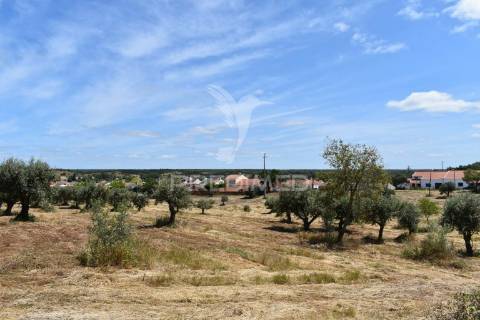 Terreno urbano e lote em são domingos