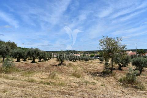 Terreno urbano e lote em são domingos